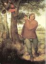 Abbildung